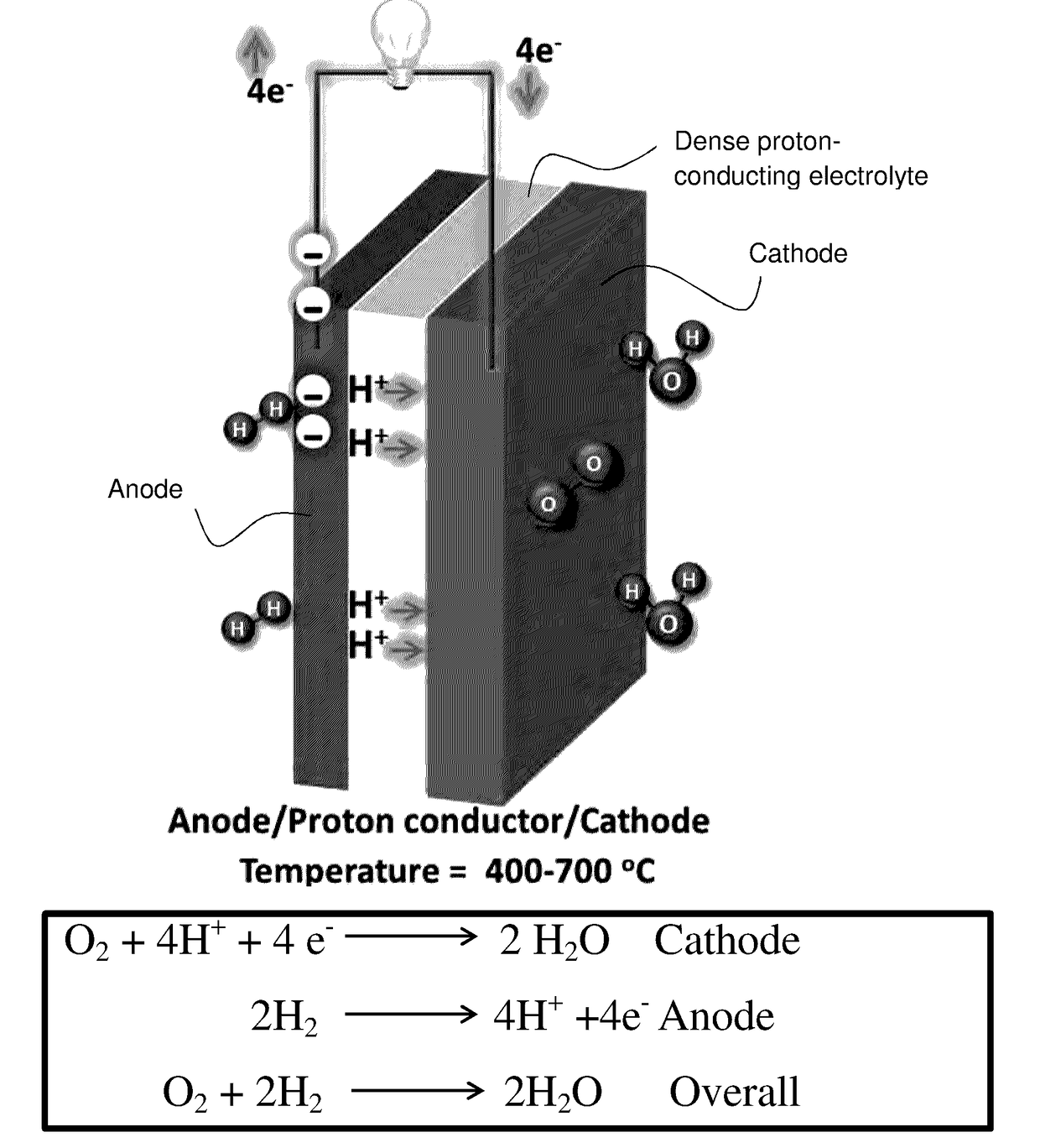 Chemically Stable Proton Conducting Doped BaCeO3