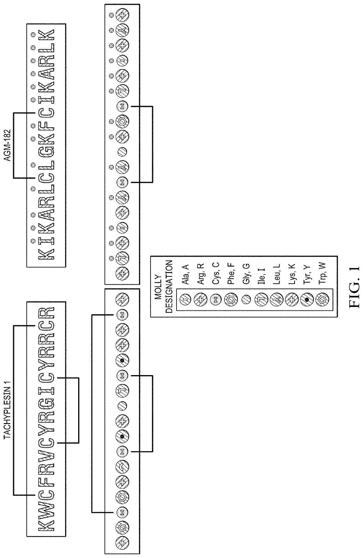 Transgenic corn with antifungal peptide AGM182 USDA (DN:0113.18)