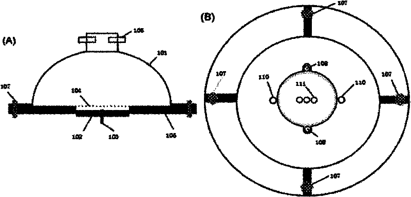 System and method for monitoring bioaerosol in real time