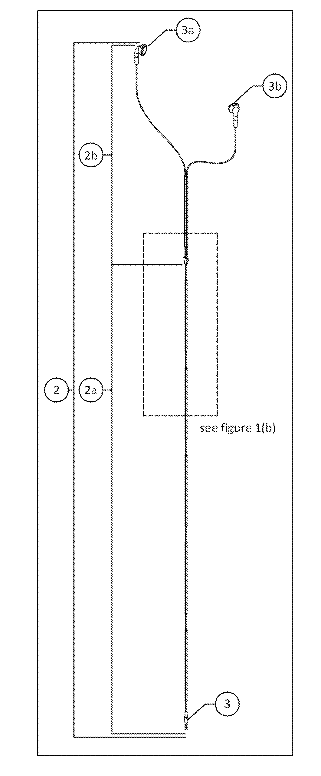 Cord management device and method