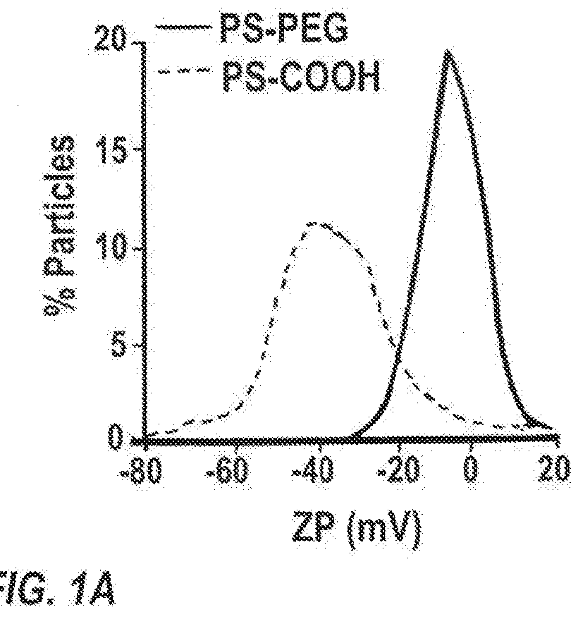 Compositions and methods to improve nanoparticle distribution within the brain interstitium