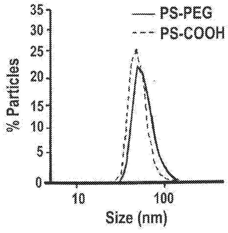 Compositions and methods to improve nanoparticle distribution within the brain interstitium