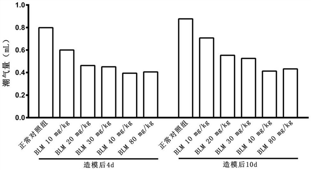 Rat lung injury model for different severity degrees and for achieving induction of different doses of bleomycin through tracheal inside spraying