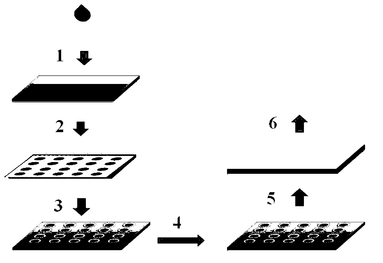 Simple preparation method and application of polydimethylsiloxane (PDMS) polymer microlens array
