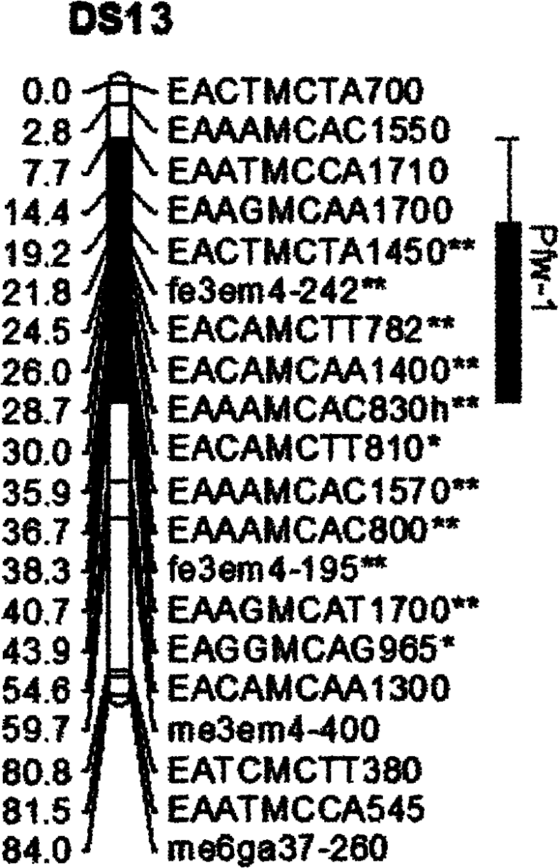 Molecular marker for single fruit weight main-effect quantitative trait loci (QTL) of Dangshansu pear fruit and application thereof