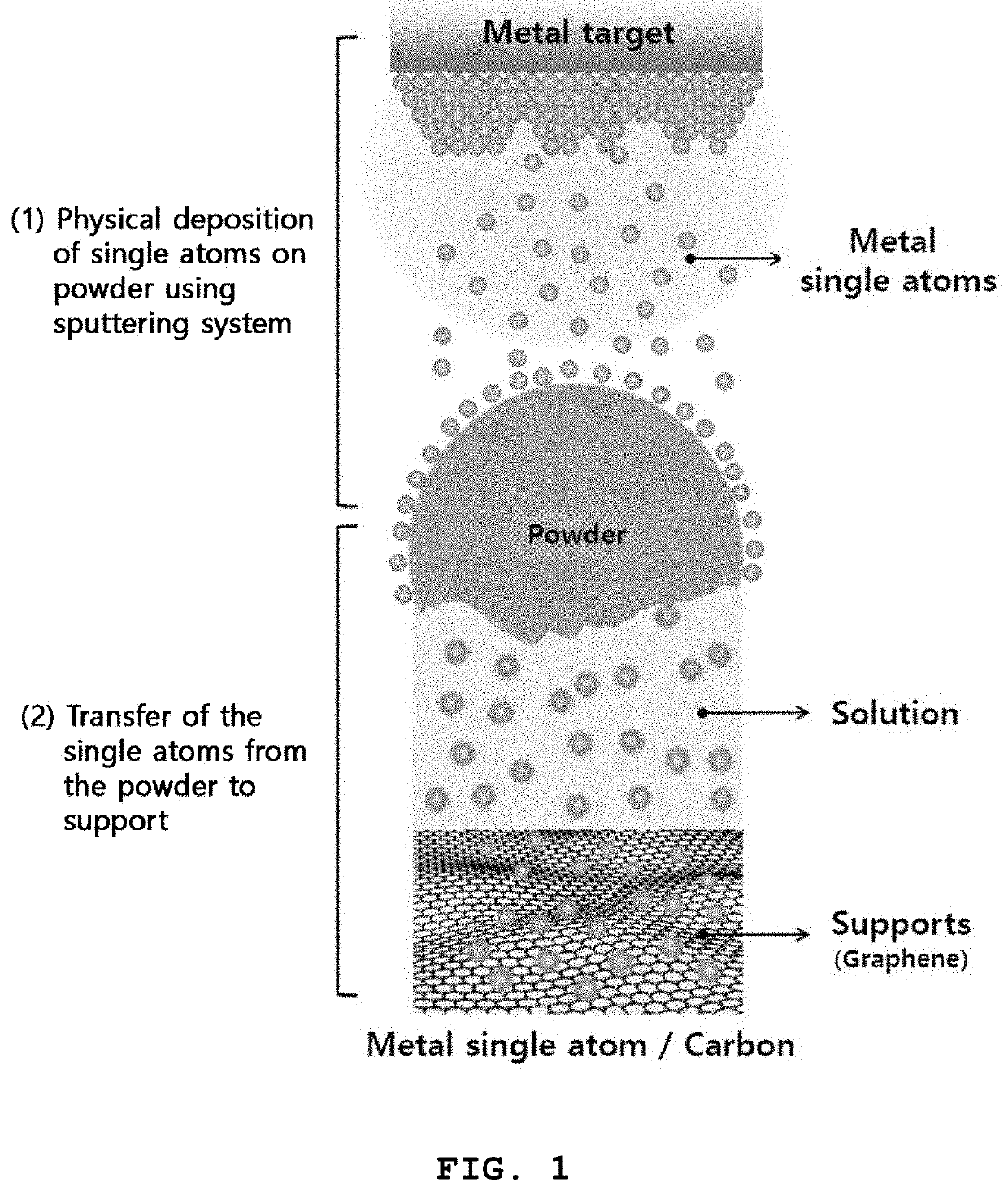 Metal single-atom catalyst and method for preparing the same