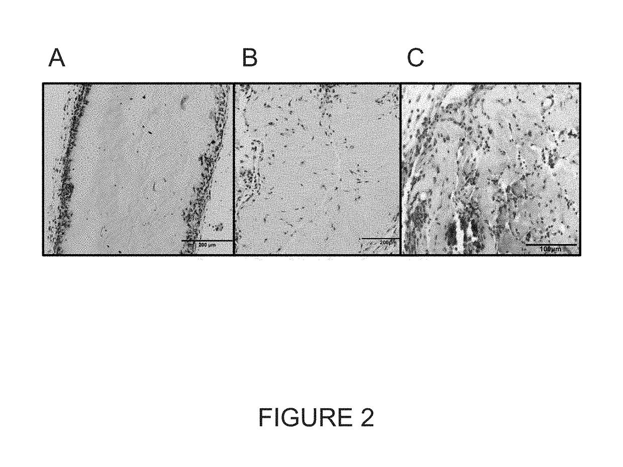 Tissue scaffold materials for tissue regeneration and methods of making