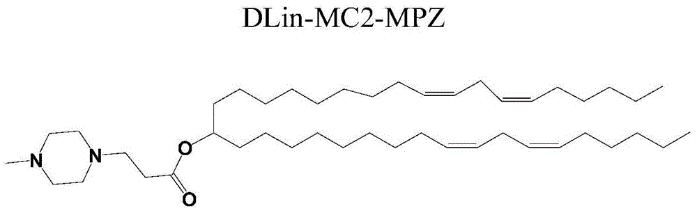 Amphiphilic derivative of 3-(1-tert-butoxycarbonylpiperazin-4-yl)propionic acid, and use thereof