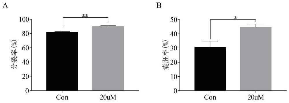 Application of Luo Han Guo extract mogroside V in promoting oocyte maturation in vitro
