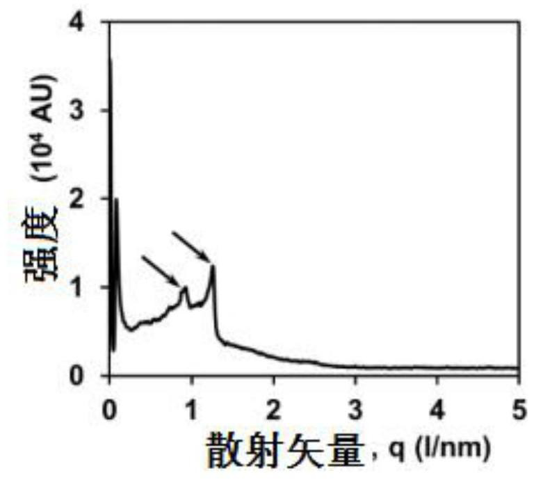 Resveratrol lamellar liquid crystal and preparation method thereof