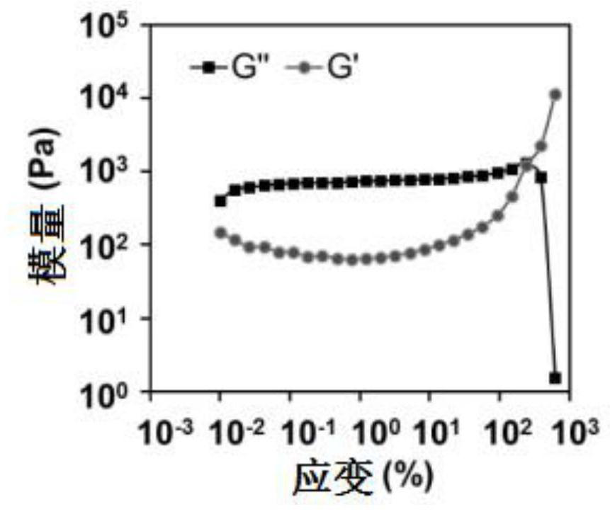 Resveratrol lamellar liquid crystal and preparation method thereof