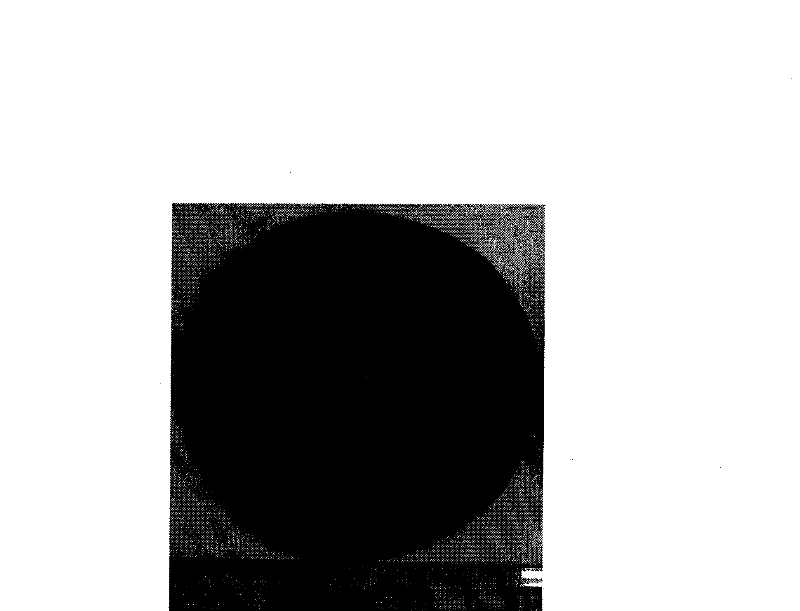 Metal microfiber-nano carbon composite material and preparation method