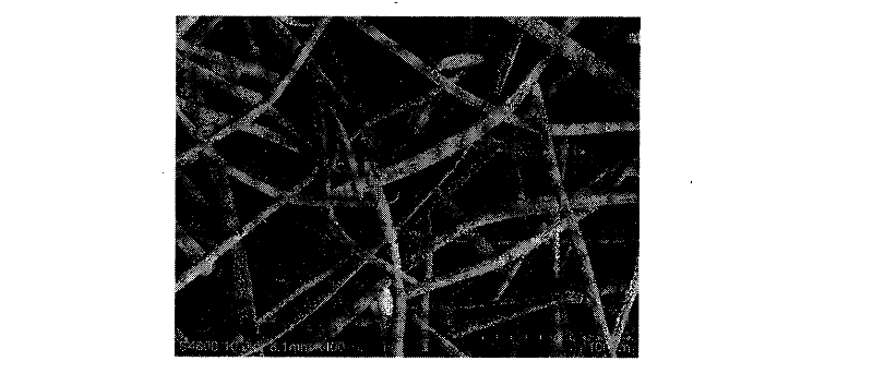 Metal microfiber-nano carbon composite material and preparation method