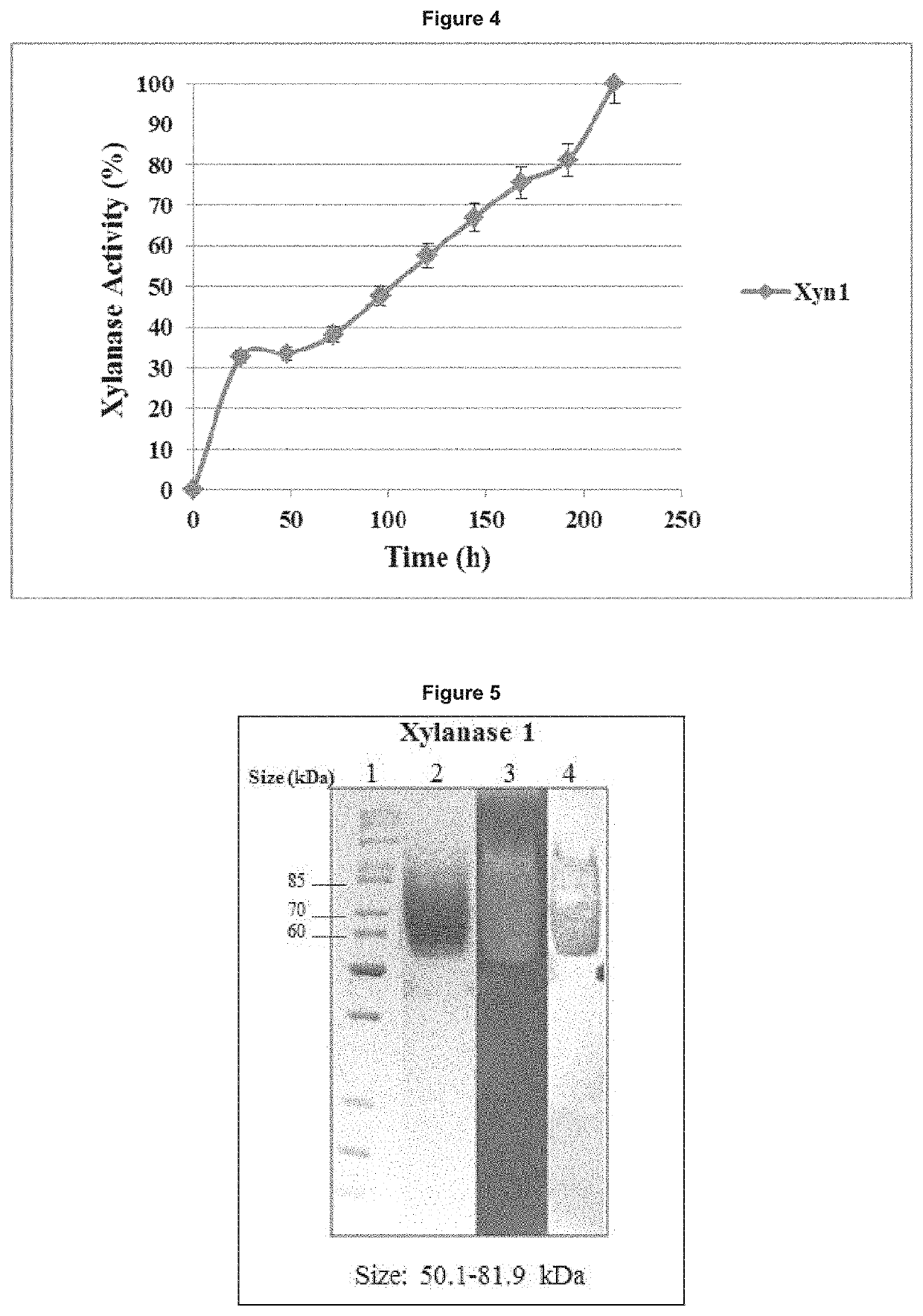 Polypeptide having xylanase activity