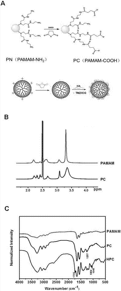 Photosensitizer targeting nanoparticles used for optical therapy as well as preparation method and applications of photosensitizer targeting nanoparticles