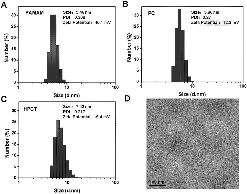 Photosensitizer targeting nanoparticles used for optical therapy as well as preparation method and applications of photosensitizer targeting nanoparticles