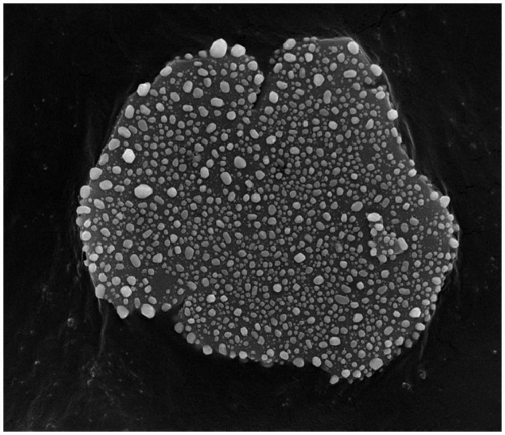 A preparation method of bionic shell structure ceramic and metal composite material