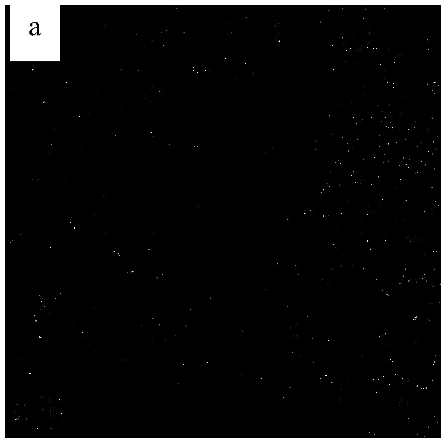 A visible light-responsive composite catalyst for degrading organic pollutants in saline wastewater and its preparation method