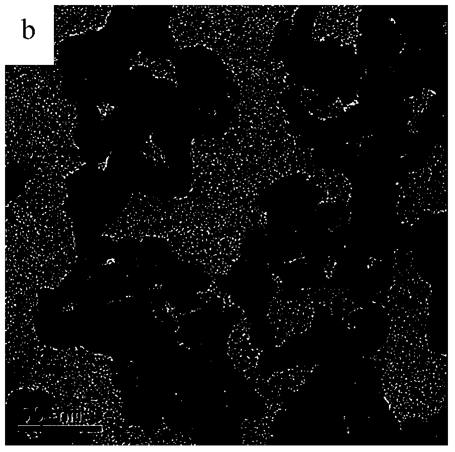 A visible light-responsive composite catalyst for degrading organic pollutants in saline wastewater and its preparation method