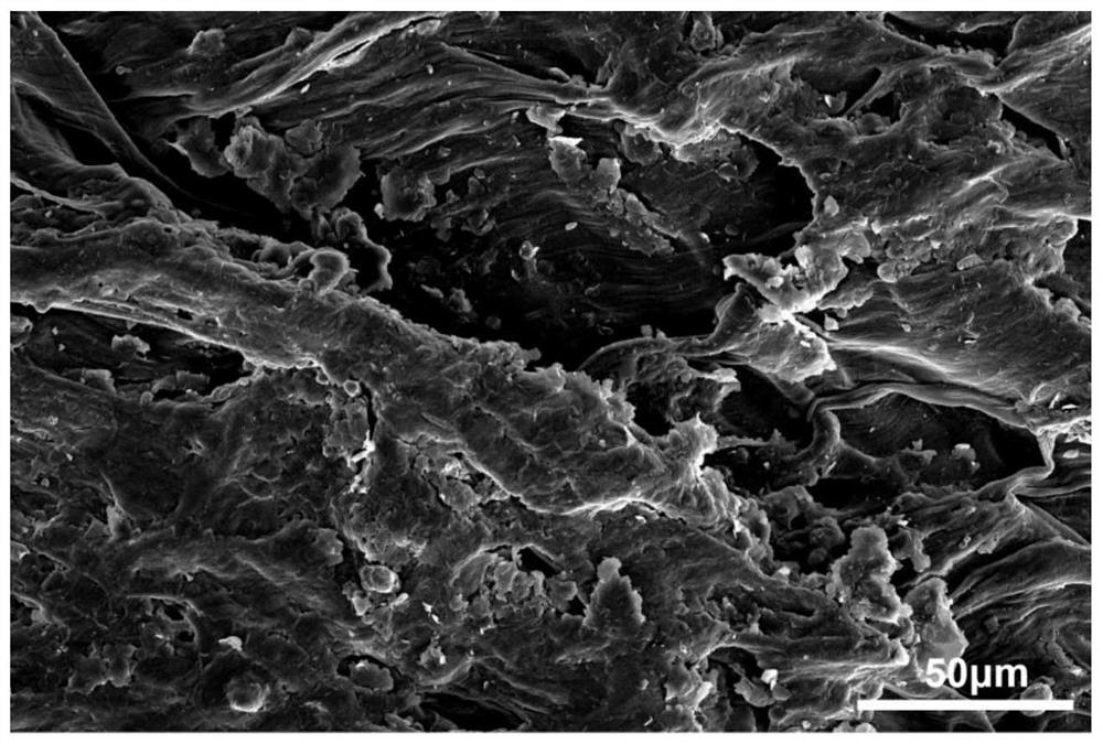 Preparation method and application of green flexible conductive anti-freezing hydrogel