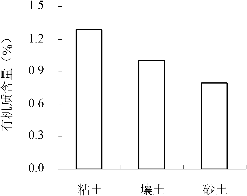 Controlled-release fertilizer special for Shandong garlic and application thereof