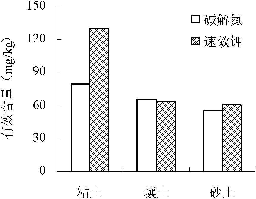 Controlled-release fertilizer special for Shandong garlic and application thereof