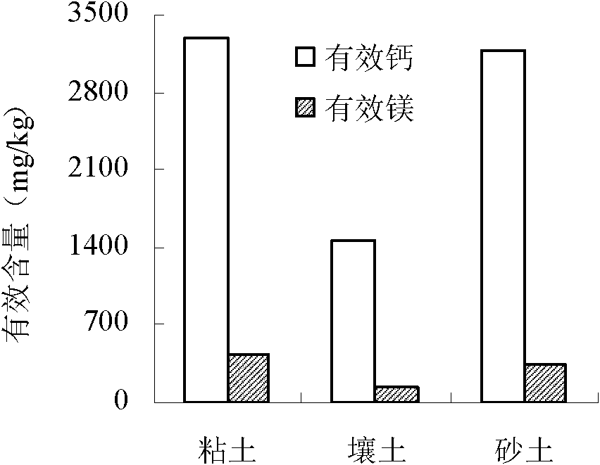 Controlled-release fertilizer special for Shandong garlic and application thereof