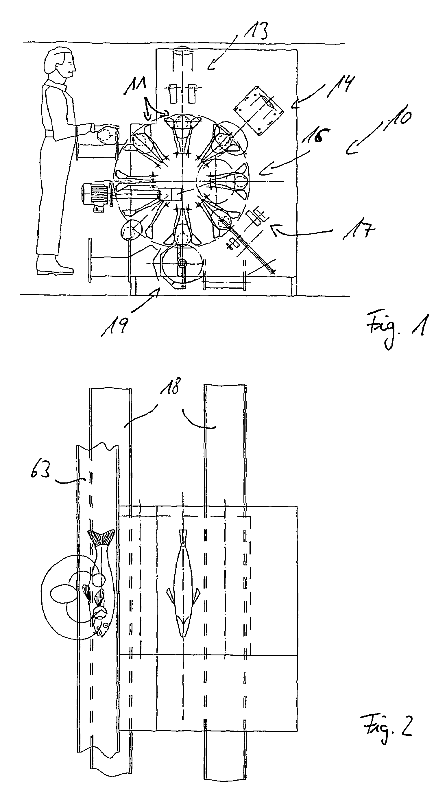 Method and device for slaughtering fish in particular white fish