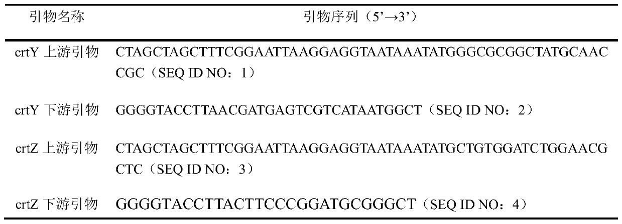 High-content Zeaxanthin or Astaxanthin-Producing Engineering Bacteria and Its Application