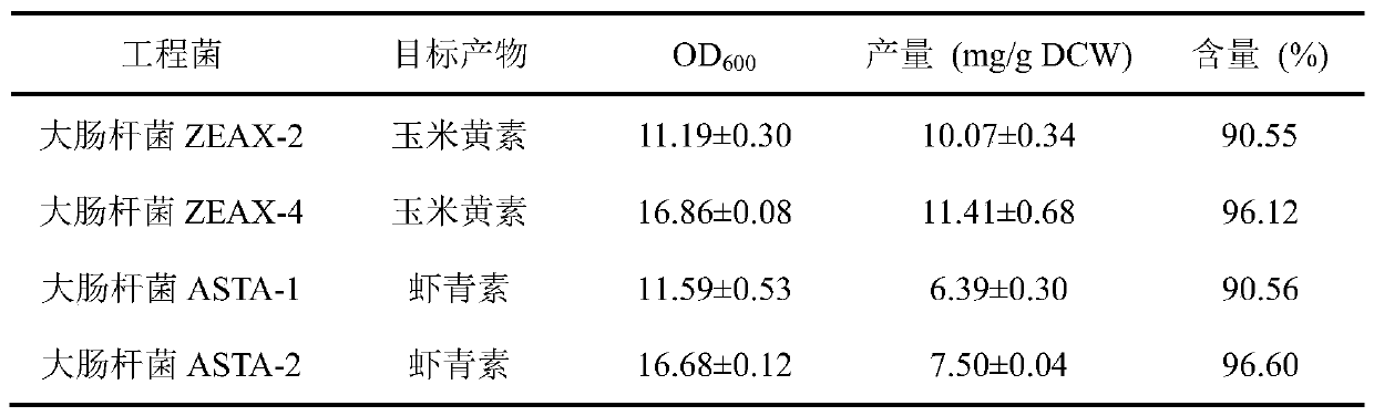 High-content Zeaxanthin or Astaxanthin-Producing Engineering Bacteria and Its Application