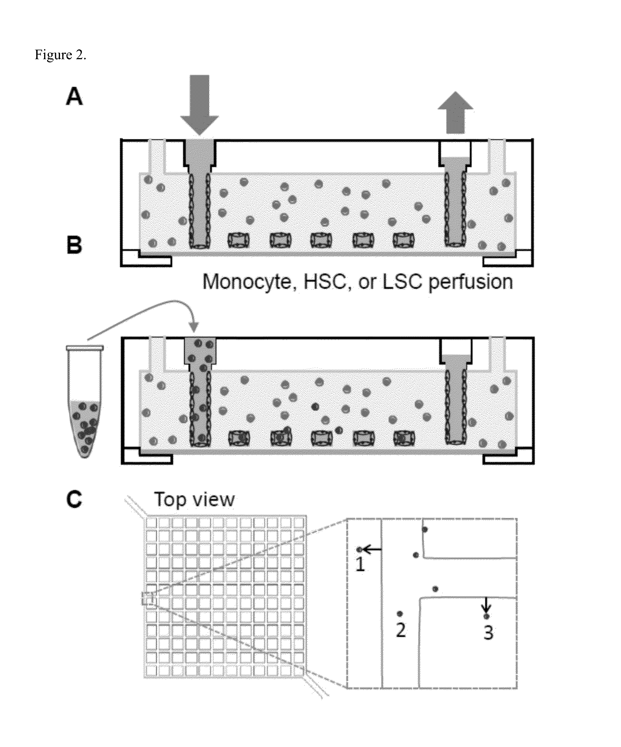 Blood-cell producing bio-microreactor