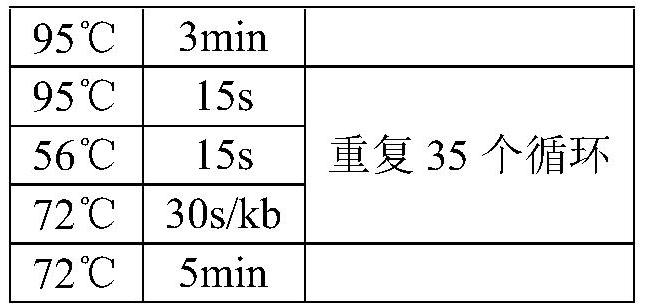 Method for managing resistance of ostrinia nubilalis to Bt insecticidal protein