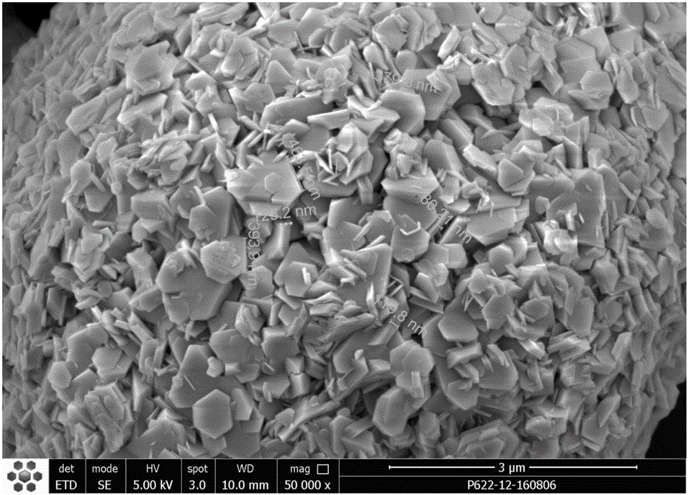 Nickel cobalt lithium manganite precursor of nanosheet agglomeration secondary particle and preparing method thereof
