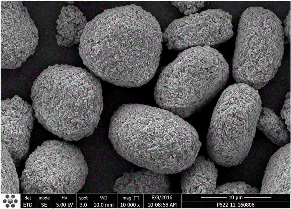 Nickel cobalt lithium manganite precursor of nanosheet agglomeration secondary particle and preparing method thereof
