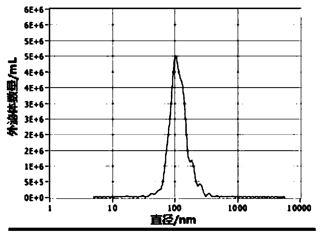 modified HEK293T cell, preparation method thereof, drug-loaded exosome, and preparation of drug-loaded exosome