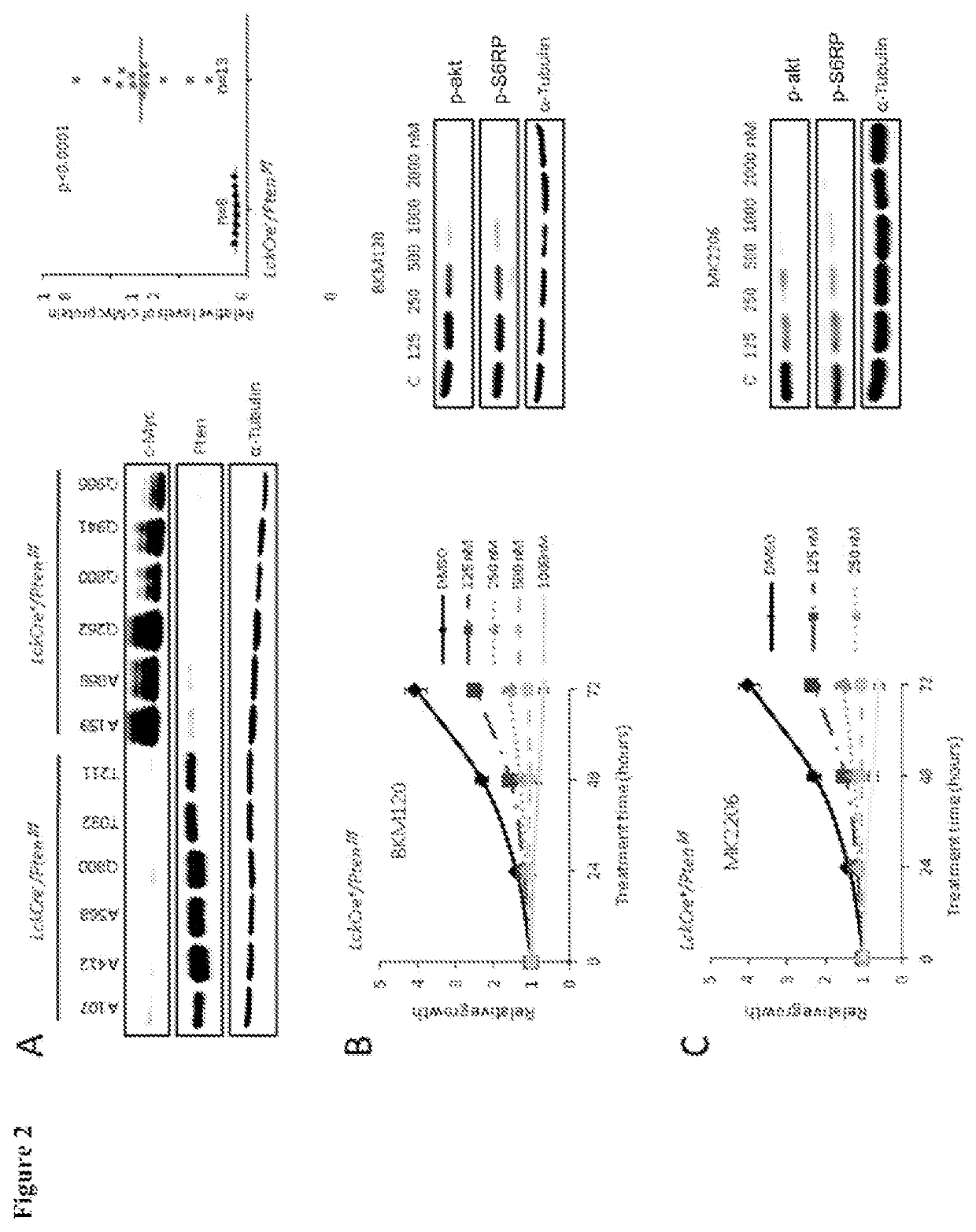 P13K-MTORC1-S6K1 signaling pathway biomarkers predictive of anti-cancer responses