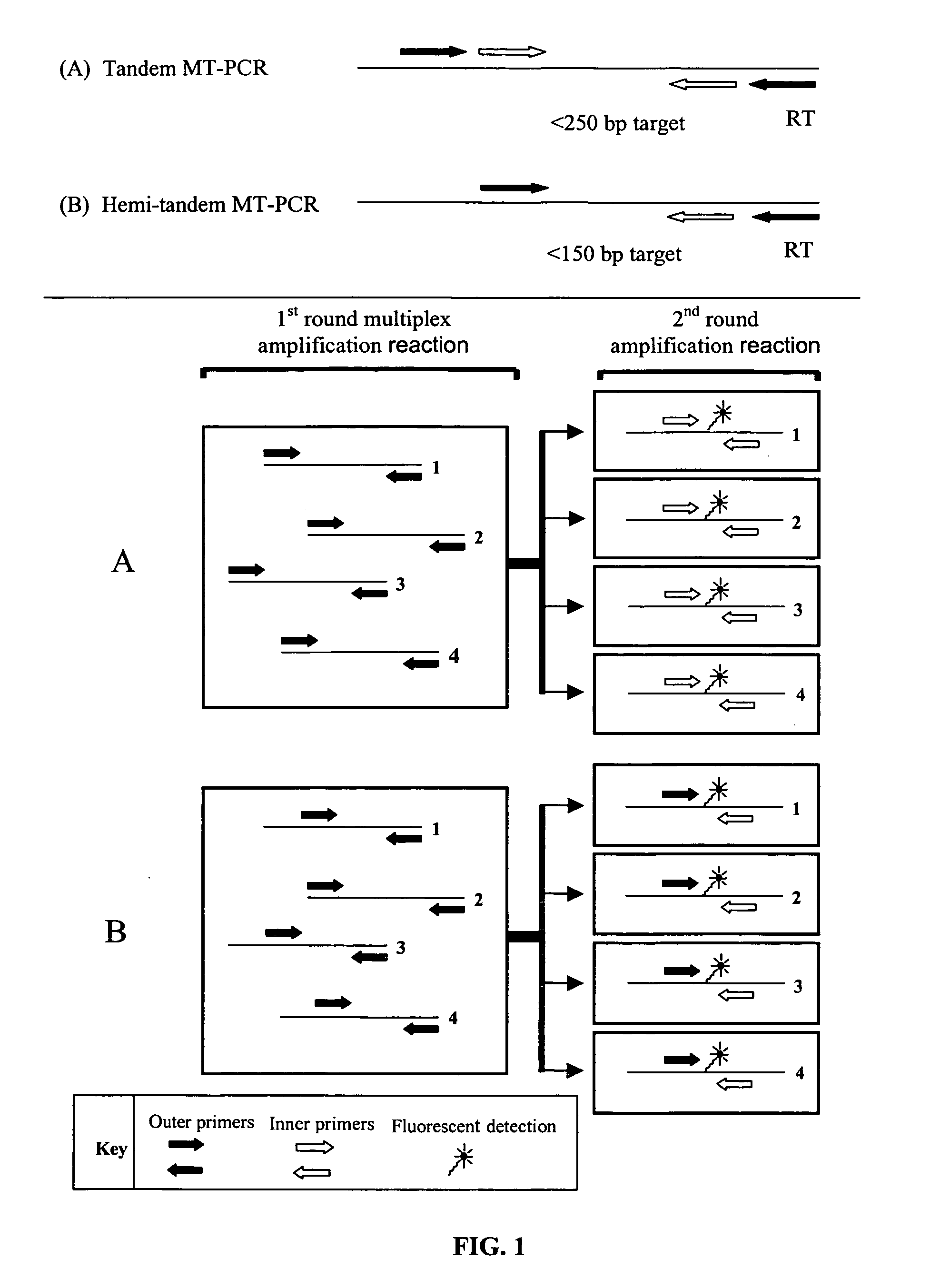 Methods for the amplification, quantitation and identification of nucleic acids