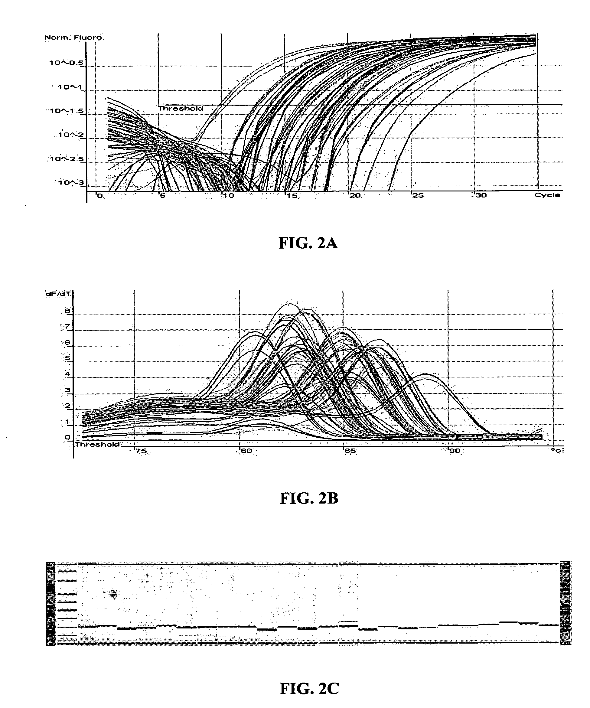 Methods for the amplification, quantitation and identification of nucleic acids