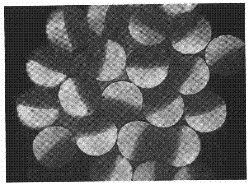 Parallel composite elastic fiber and manufacture method thereof