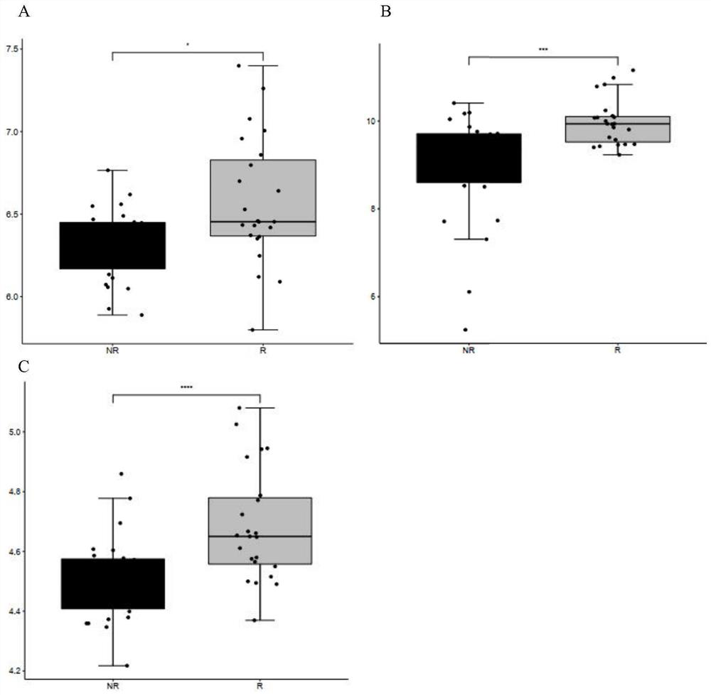 Marker for predicting sensitivity of rectal cancer patient to bevacizumab