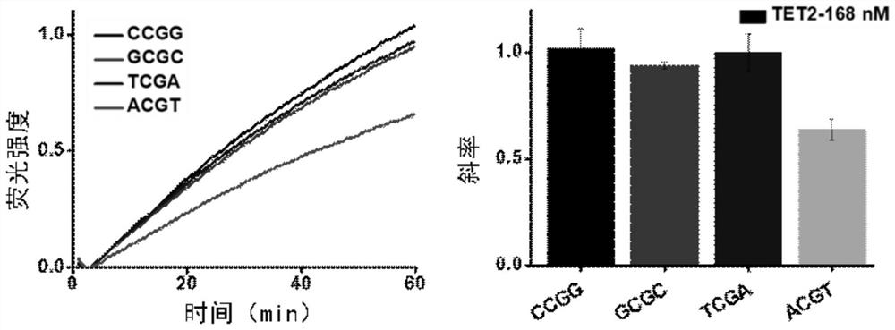 A method to study the sequence preference of tet2