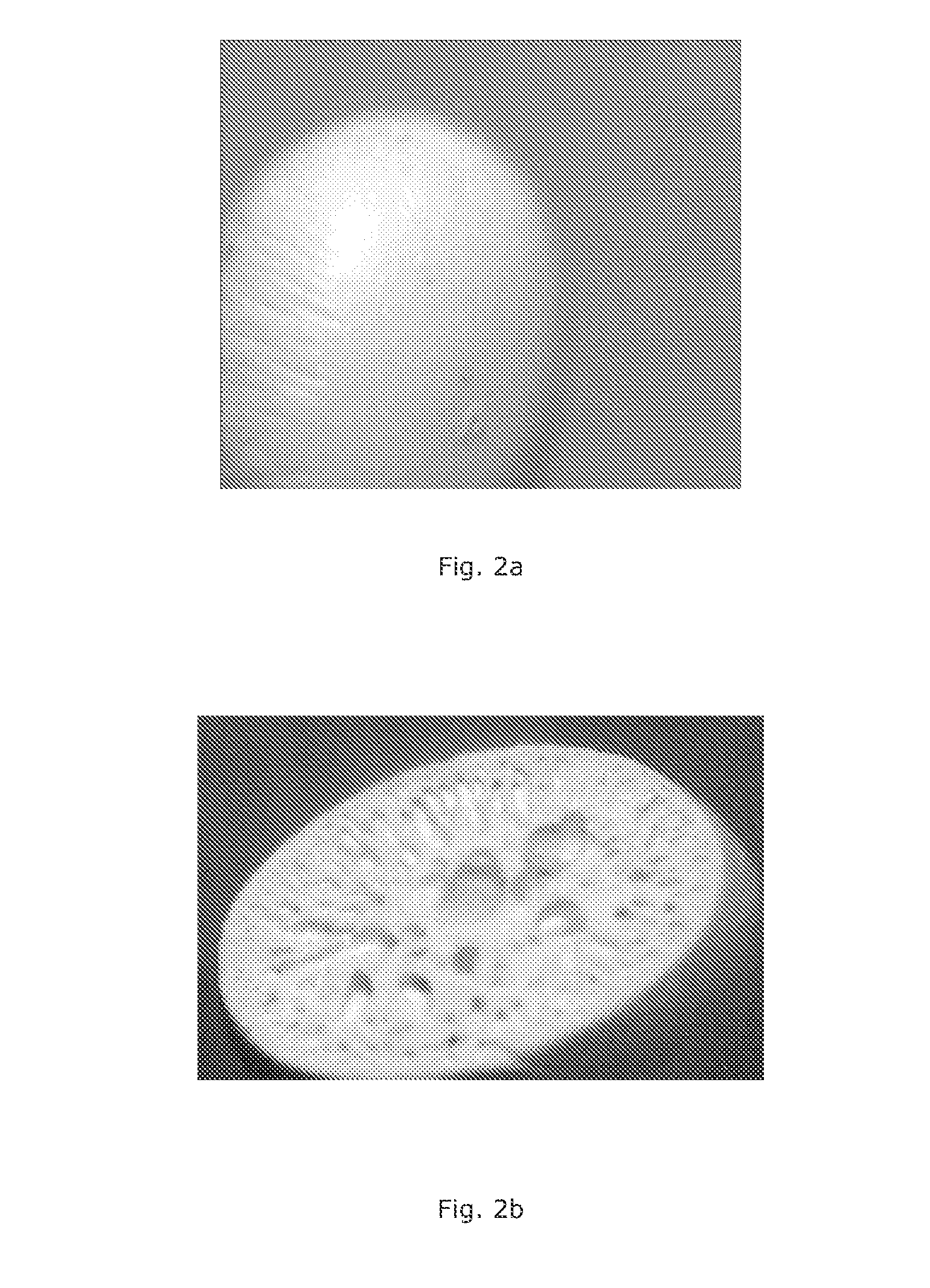 Polymer composite for extracting cesium from nuclear waste and/or other inorganic wastes/solutions