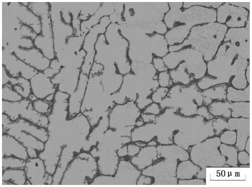 A kind of preparation method of rare earth magnesium alloy composite material