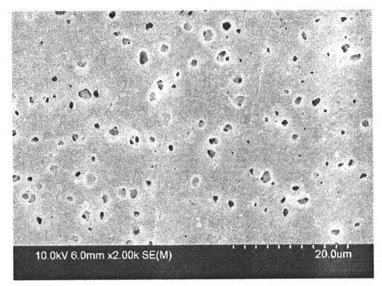 Multi-walled composite conductive carbon nanotube-polyvinylidene fluoride ultrafiltration membrane and preparation method thereof