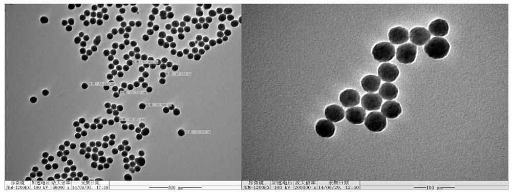 A nano-artificial antibody inhibitor for real-time imaging of tumor markers in living cells and its preparation method