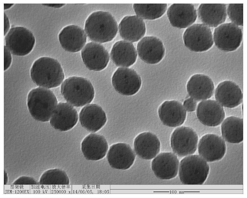 A nano-artificial antibody inhibitor for real-time imaging of tumor markers in living cells and its preparation method