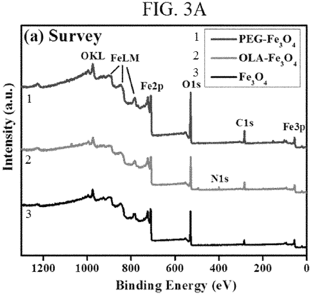 Hydrophilic and hydrophobic superparamagnetic Fe<sub>3</sub>O<sub>4 </sub>nanoparticles as T<sub>2</sub>-contrast agents for oil reservoir applications