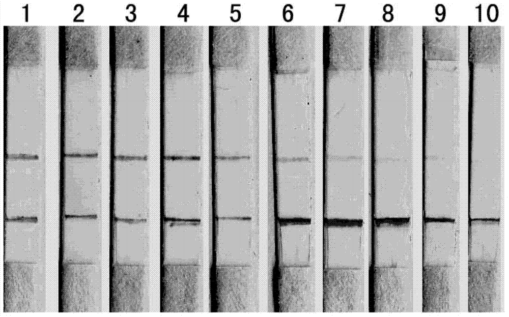 Recombinant antigen protein and kit for detecting epidemic encephalitis B virus antibody