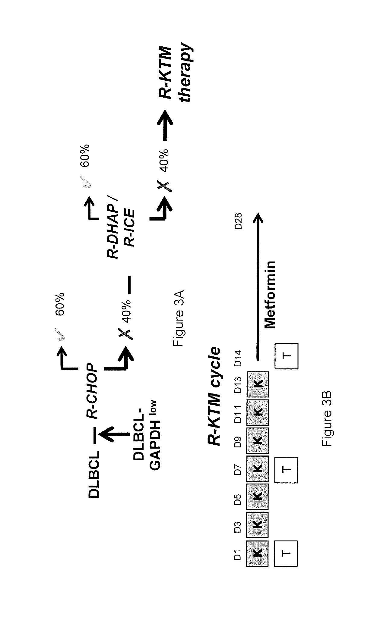 METHOD FOR PREDICTING THE RESPONSIVENESS OF A PATIENT TO A TREATMENT WITH mTOR INHIBITORS