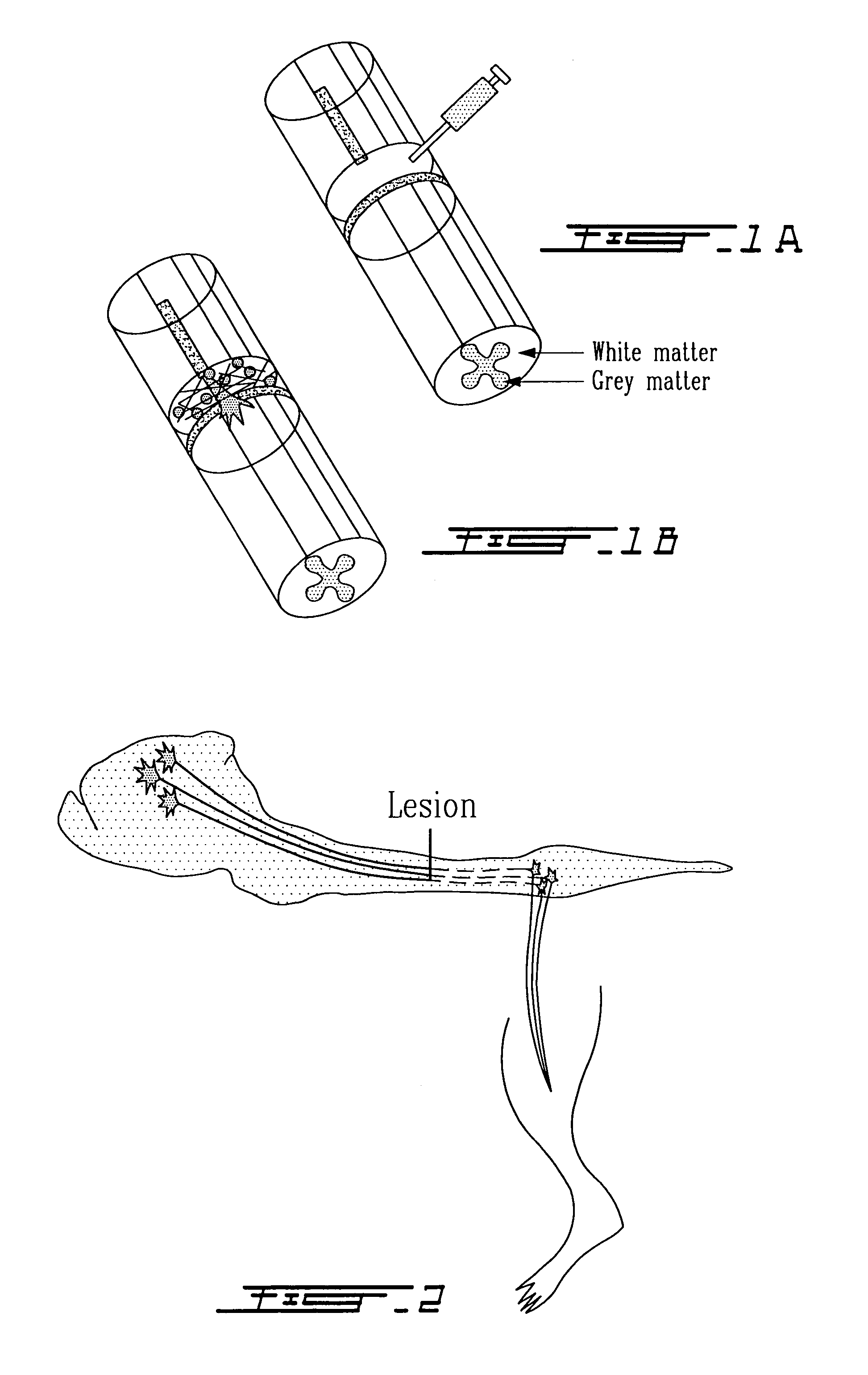 Methods for making and delivering rho-antagonist tissue adhesive formulations to the injured mammalian central and peripheral nervous systems and uses thereof